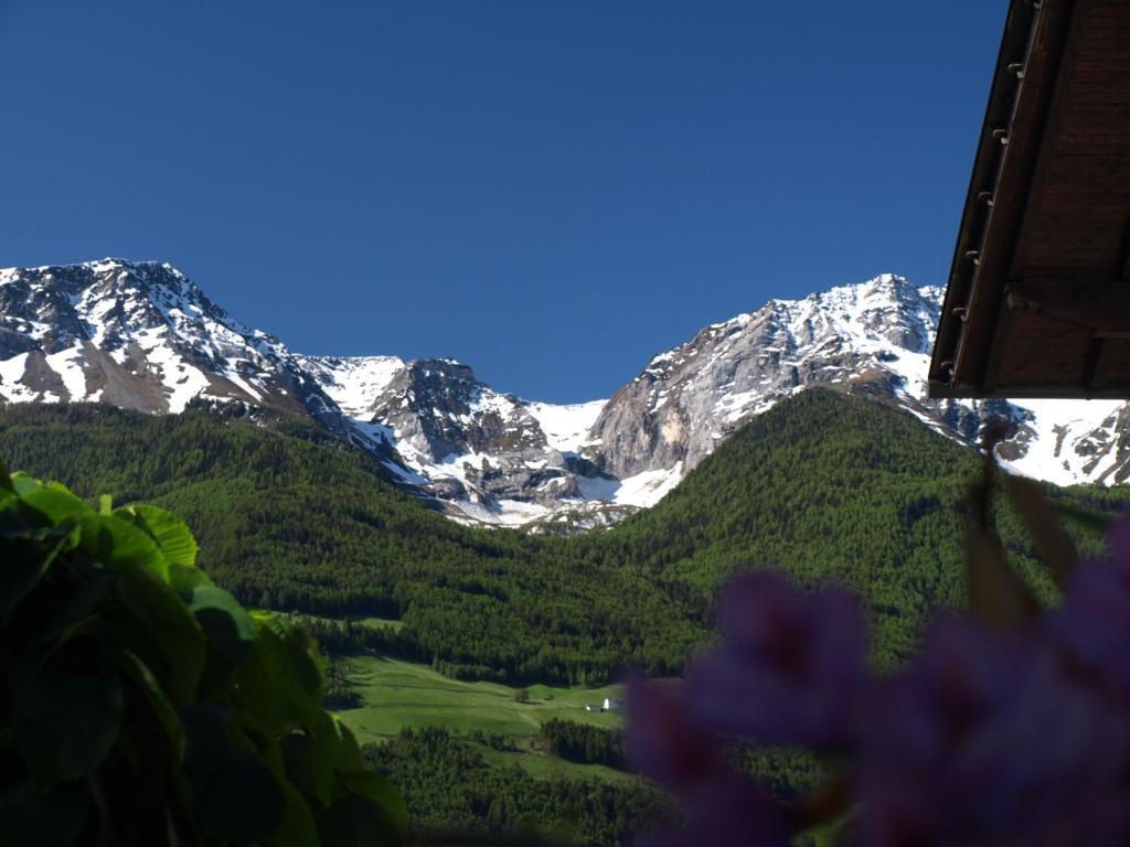 Feldgaertenhof Silandro Exterior photo